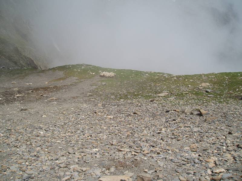Youri - Ecrins 2005 373 